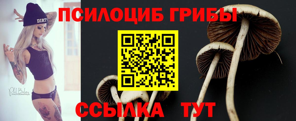 Псилоцибиновые грибы Magic Shrooms  Вход с VPN  Галлюциногенные грибы ЛСД  Волгоград 