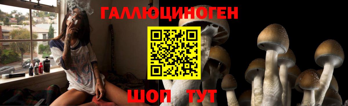 Псилоцибиновые грибы Cubensis Волгоград